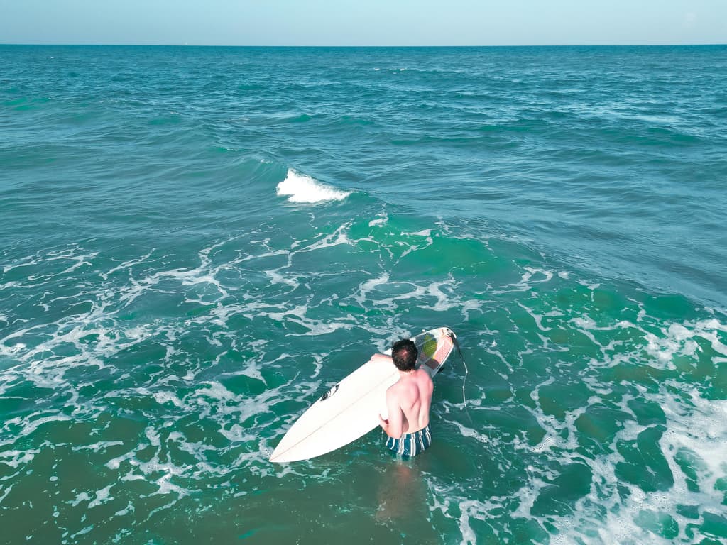 Hábitos Diários Poderosos para Impulsionar o Cérebro Apoiados pela Ciência Moderna